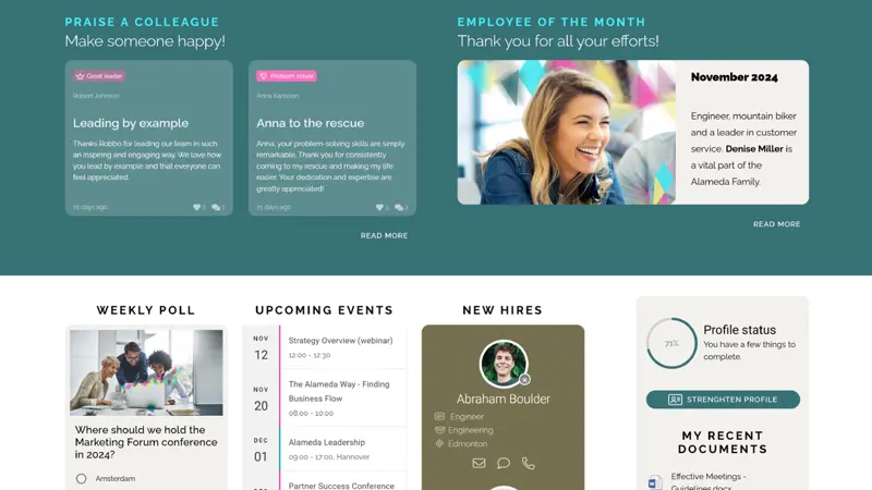Intranet platform branding settings enforcing corporate design standards across multiple sites and audiences
