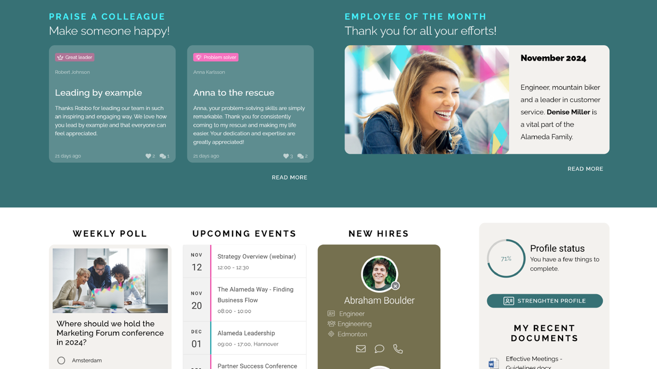 Intranet platform branding settings enforcing corporate design standards across multiple sites and audiences