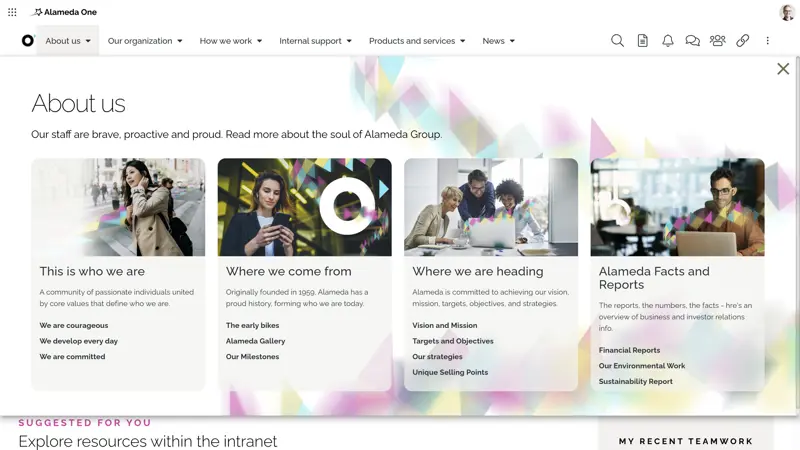 Intranet website example 5.png