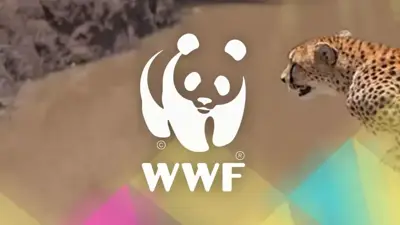 wwf